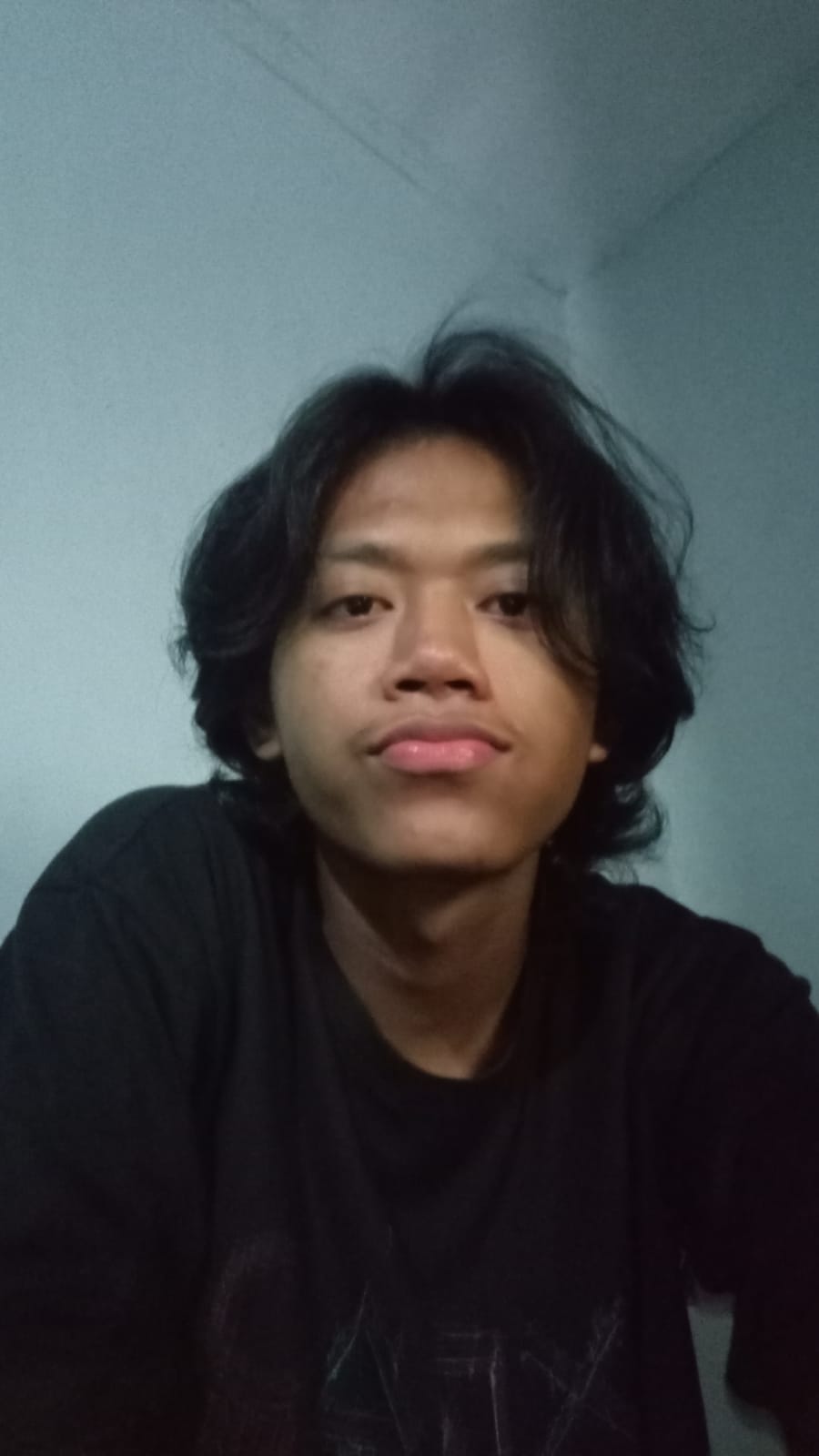 I Wayan Satya Widhya Putra Pratama